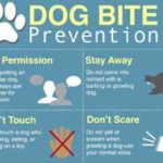 Dog Bite Prevention Infographic