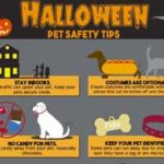 personal injury dog safety tips
