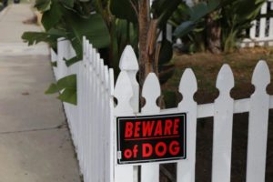 beware of dog attack
