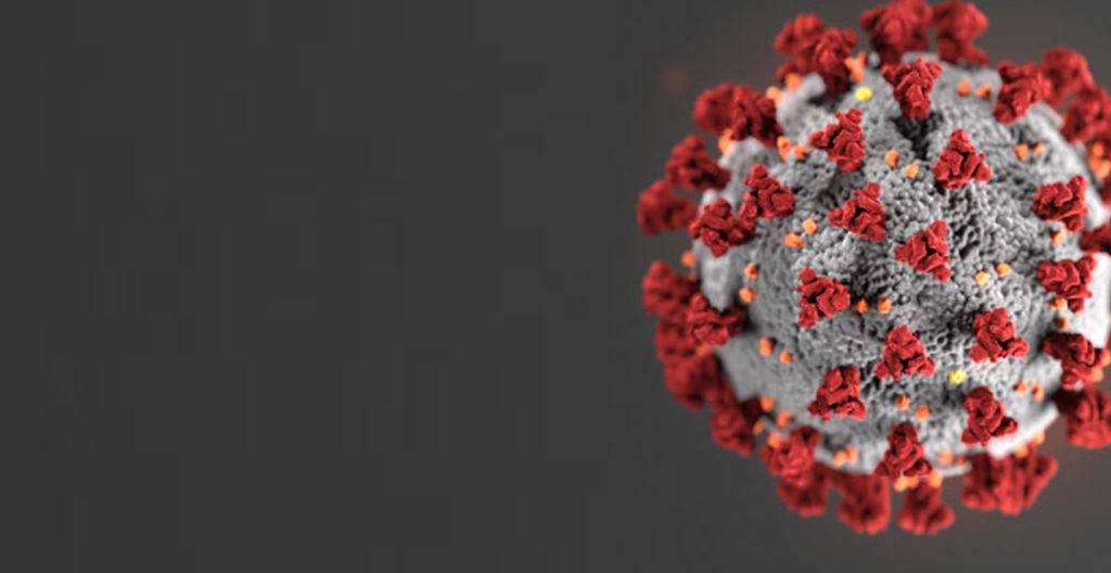 brote de coronavirus COVID-19