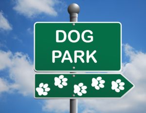 Dog park liability lawyers in Seattle